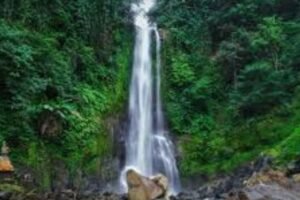 North Bali Tour with Private Car & Driver