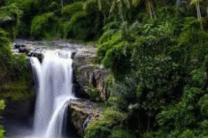 Tegenungan Waterfall Entrance Fee 2026